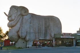 sheep kiosk